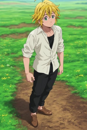 meliodas_nanatsu_no_taizai, blonde hair, green eyes, solo, male, full body, depth of field, white shirt, black pants,