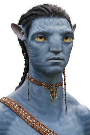 na’vi, alien, male, blue skin, colored skin, pointed ears, freckles, light yellow eyes, braided black hair, tribal jewelry, skin details, bust shot, blank white background, visual dictionary, More Reasonable Details