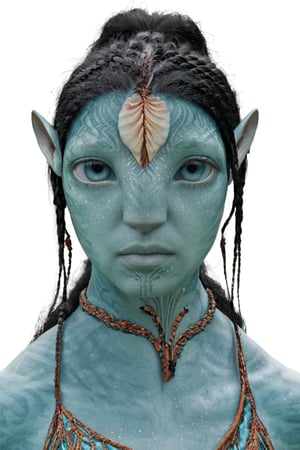 beautiful na’vi, alien, female, tribal tattoos, turquoise skin, colored skin, pointed ears, freckles, soft blue eyes, braided black hair, tribal jewelry, bust shot, skin details, blank white background, visual dictionary, More Reasonable Details