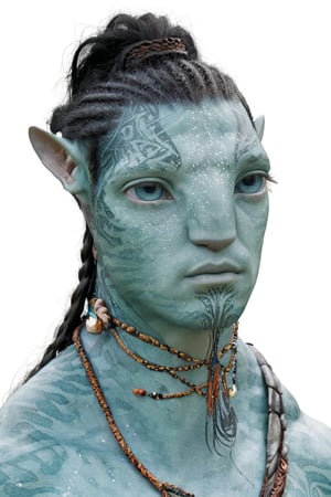 beautiful na’vi, alien, male, tribal tattoos, turquoise skin, colored skin, pointed ears, freckles, soft blue eyes, braided black hair, tribal jewelry, bust shot, skin details, blank white background, visual dictionary, More Reasonable Details