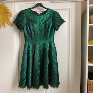  green party dress with glitter and short wave sleeve with alot of yellow feathers on it ,the dress hanging in closet