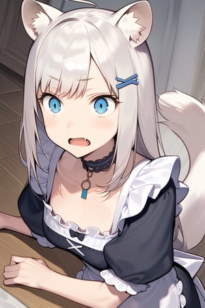  {{{masterpiece}}}, {{{best quality}}}, {{ultra-detailed}}, {beautiful detailed eyes}, 1girl, solo,  ((white hair)), very long hair, blue eyes, (straight hair), (bangs), animal ears, (stoat ears:1.2), Choker, ahoge, fang, (big stoat Tail:1.2), (blue X hairpin), (cute maid outfit), shocked ,girl ,aesthetic,Eyes
