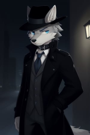 Raff is a light grey wolf guy with blue eyes, wearing a pitch black stealth trench coat with a fedora on his head, hands in his pockets, looking serious, he's wearing a collar around his neck, Night time 