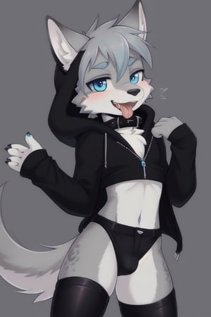 Raff is a grey wolf guy with blue eyes, femboy and is wearing thigh highs and arm sleeves with a black hoodie and trousers on, incredibly horny, mouth wide open smiling with tongue out, he's wearing a collar around his neck, standing , looking sexy
