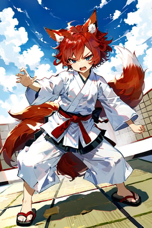 High detail, high quality, masterpiece, beautiful, dark, sky-blue eyes, fox ears, fox tails, fangs, furry tails, tails, kitsune, sky-blue eyes, (light red hair, curly hair, short hair, messy hair), white kimono, zori sandals, 1 little boy, kid, child, boy, training, martial artist, dojo background, tatami, firm expression, serious face, qi, ki, angry, determined, serious