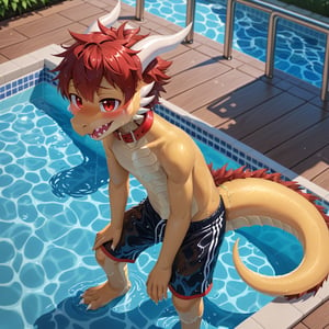 Solo, male,(((beige dragon))), fangs, sharp teeth, blushing,full-body shot,red collar,swimming pool,red short hair, detailed fur:1.3,detailed background:1.1, red eyes,little boy ,only one tail
swimming pants,a person soaking in water,body is soaking wet
super upscale