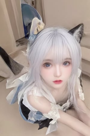 Animal ears,cat ears,male focus,apron,tail,cat tail,otoko no ko,open mouth,blue hair,solo,white hair,maid headdress,blue eyes,looking at viewer,wariza,hair ornament,cat boy,sitting,pale skin,bow,apron,far wide_shot hair eyes,far hair eyes,