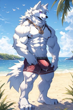 good_anatomy solo, long hair, animal ears, wolf_ears, purple eyes,tail, white hair, male focus,wolf_tail, muscular,furry, furry male, white fur, wolf boy, full_body,purple_boxer_shorts,Beautiful Beach, stading, bulge,underwear_bulge, mouth_open, cum_in_chest, excessive_cum