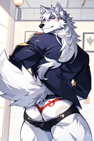 good_anatomy solo, long hair, animal ears, wolf_ears, purple eyes,tail, white hair, male focus,suit,wolf_tail, furry, furry male, white fur, wolf boy, full_body, underwear,underwear_only ,blue_briefs, ass,ass_focus,Underwear with dog printed on it, frong_view