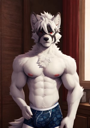 best quality, ultra high res,1furry boy, solo,,((detailed eyes)), volumetric lighting, amazing, finely detail, indoors,in a bedroom ,underwear_only,boxers,underwear_bulge,( fur, furry, (((white fur)))), white hair, lycaon, short hair, wolf ears, eye_patch, tail, wolf boy,  red eyes,white fur, eyepatch