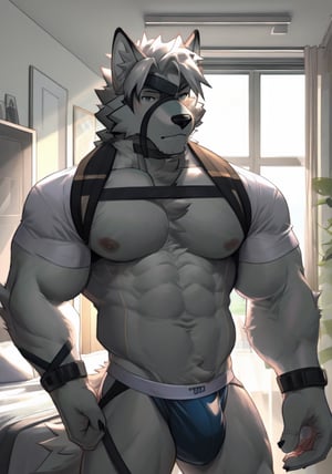 best quality, ultra high res,1furry boy, solo,,((detailed eyes)), volumetric lighting, amazing, finely detail, indoors,in a bedroom ,underwear_only,jockstrap,underwear_bulge,( fur, furry, (((white fur)))), white hair, lycaon, short hair, wolf ears, eye_patch, tail, wolf boy,  red eyes,white fur, eyepatch, shirt,Jock_harness ,vest