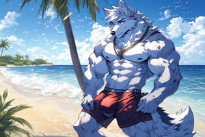 good_anatomy solo, long hair, animal ears, wolf_ears, purple eyes,tail, white hair, male focus,wolf_tail, muscular,furry, furry male, white fur, wolf boy, full_body,purple_boxer_shorts,Beautiful Beach, stading, bulge,underwear_bulge, fantasy, waves