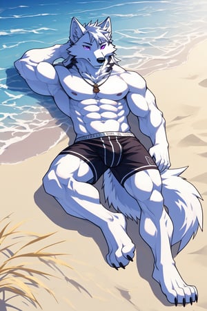 good_anatomy solo, long hair, animal ears, wolf_ears, purple eyes,tail, white hair, male focus,wolf_tail, muscular,furry, furry male, white fur, wolf boy, full_body,boxer_shorts_purple,Beautiful Beach, lying in the sand