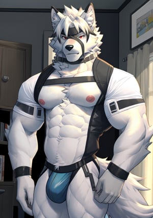 best quality, ultra high res,1furry boy, solo,,((detailed eyes)), volumetric lighting, amazing, finely detail, indoors,in a bedroom ,underwear_only,jockstrap,underwear_bulge,( fur, furry, (((white fur)))), white hair, lycaon, short hair, wolf ears, eye_patch, tail, wolf boy,  red_eyes,white fur, eyepatch, shirt,Jock_harness ,vest