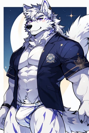 good_anatomy solo, long hair, animal ears, wolf_ears, purple eyes,tail, white hair, male focus,suit,wolf_tail, furry, furry male, white fur, wolf boy, full_body, underwear,underwear_only ,blue_briefs, ass,ass_focus,Underwear with stars printed on it, front-view