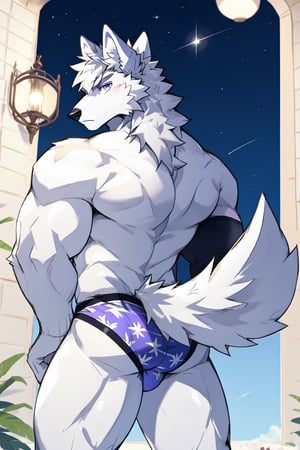 good_anatomy solo, long hair, animal ears, wolf_ears, purple eyes,tail, white hair, male focus,suit,wolf_tail, furry, furry male, white fur, wolf boy, full_body, underwear,underwear_only ,blue_briefs, ass,ass_focus,Underwear with stars printed on it,back-view,wolfboy