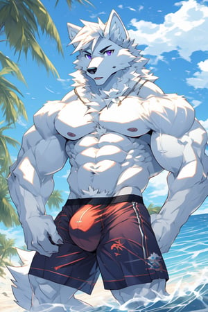 good_anatomy solo, long hair, animal ears, wolf_ears, purple eyes,tail, white hair, male focus,wolf_tail, muscular,furry, furry male, white fur, wolf boy, full_body,purple_boxer_shorts,Beautiful Beach, stading, bulge,underwear_bulge, fantasy, waves