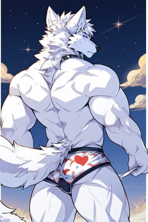 good_anatomy solo, long hair, animal ears, wolf_ears, purple eyes,tail, white hair, male focus,suit,wolf_tail, furry, furry male, white fur, wolf boy, full_body, underwear,underwear_only ,blue_briefs, ass,ass_focus,Underwear with stars printed on it,back-view