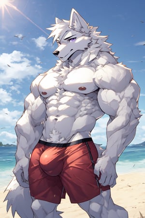 good_anatomy solo, long hair, animal ears, wolf_ears, purple eyes,tail, white hair, male focus,wolf_tail, muscular,furry, furry male, white fur, wolf boy, full_body,purple_boxer_shorts,Beautiful Beach, stading, bulge,underwear_bulge, mouth_open, cum_in_chest, excessive_cum