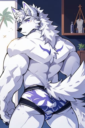good_anatomy solo, long hair, animal ears, wolf_ears, purple eyes,tail, white hair, male focus,suit,wolf_tail, furry, furry male, white fur, wolf boy, full_body, underwear,underwear_only ,blue_briefs, ass,ass_focus,Underwear with dog printed on it,back_view