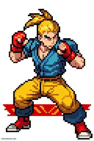 high quality, High Definition, Pixel world, pixel, simple pixel art, man, 8bit logo, 8 bit, unrealistic, nes style, fighting,  beat'em up game, yhumb signal hand, vega street fighter, side fighting pose, box