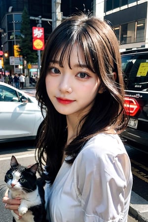 a realistic image 4k Quality , girl looking real , playing with cat , HDR image , Chinese school dress, street photography, red light, car’s, stopping, white girl,slim body , view in cat 