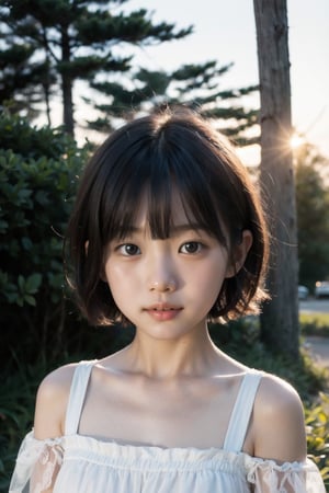 主：(Misty woods under sunset),(((face photo))),
人：1litte 1kid 7yo gril (Child:1.2), Korean beauty,
優：With a very high artistic composition style,Film photo texture,
髮：(((bangs))),(((short hair))),
服：Off-the-shoulder,Open collar sheer tulle,