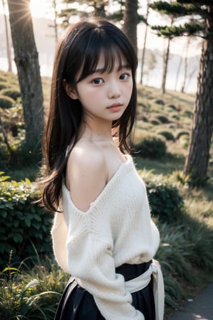 主：(Misty woods under sunset),
人：1litte 1kid 7yo gril (Child:1.2), Korean beauty,
優：With a very high artistic composition style,
髮：(long hair),(((bangs))), 
服：Off-the-shoulder,