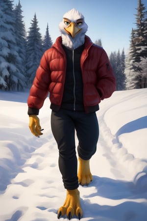 anthro eagle, male, full body, portrait, plantigrade legs, yellow talons, wide spread claws, bomber jacket,pants, barefoot, winter, one leg up, walking towards viewer