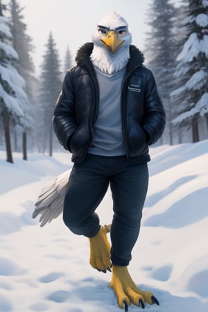 anthro eagle, male, full body, portrait, plantigrade legs, yellow talons, yellow legs, wide spread claws, bomber jacket, winter, one leg up