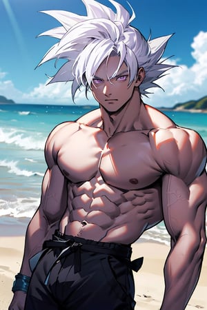 Highly detailed, High Quality, Masterpiece, beautiful,Goku on the beach, without a shirt, silver hair,light purple eyes , black pants, 