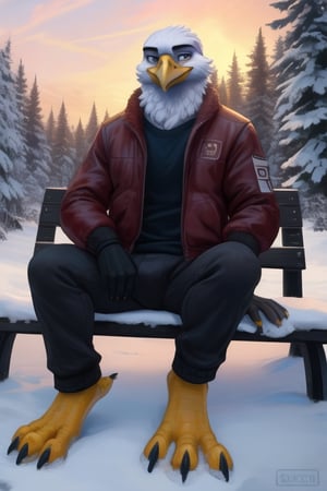 anthro eagle, male, full body,portrait,winter, bomber jacket, sitting on bench, barefoot, feet on ground, narrow talons,three toes on the front of the foot, one toe on the heel of the foot, feet visible, plantigrade feet, yellow talons, yellow legs, wide spread claws 