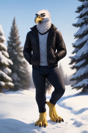 anthro eagle, male, full body, portrait, plantigrade legs, yellow talons, yellow legs, wide spread claws, bomber jacket, winter, one leg up