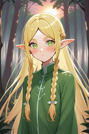 
an elf man with a braid, sexy pose, forest blushing, Sunset

