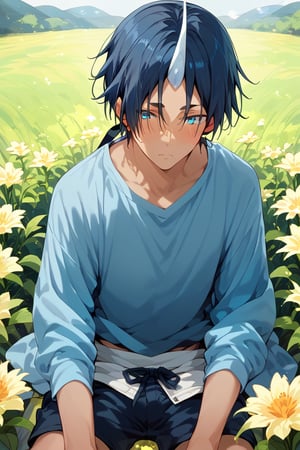 Score_9, Score_8_up, Score_7_up, Score_6_up, Score_5_up, Score_4_up, a man sitting in a field of flowers, looking at me blushing, shorts, lifting his shirt, blue shirt,
souei_tensura