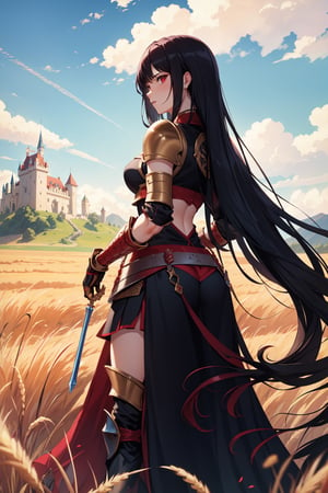 a warrior girl, she wears dragon armor, she has very long hair, hair colors are black and bright red, she likes to be powerful, a castle in the middle of a wheat field, she has fun with water, armor skirt
