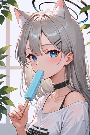 score_9, score_8_up, score_7_up, score_6_up, score_5_up, score_4_up,
((masterpiece, best quality)), (hyper detailed), 1girl, BLUE EYES, GREY HAIR, HAIRCLIP, LONG HAIR, ANIMAL EARS, HALO, wearing black off-shoulder t-shirt, choker, blue popsicle, holding popsicle in mouth, relaxed expression, minimal background, upper body focus, close-up, detailed hair, detailed face, cool tones, casual outfit, slight blush, summer vibe, soft lighting,source_anime,BREAK, (look at viewer:1.4)