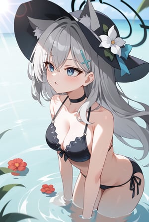 BLUE EYES, GREY HAIR, HAIRCLIP, LONG HAIR, ANIMAL EARS, HALO, BLACK CHOKER, 1girl, Black bikini, Sun hat, Flower on hat, Long silver hair, Cat ears, Halo, Hairclip, In water, Sunlight reflection, Hand on hat, Looking up, Water background, Sunny day,shiroko terror \(blue archive\)