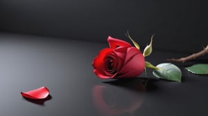 blank pure lightblack backround with one  red blooming rose,the petals are falling on the ground,with a thin root system,
photorealistic，

