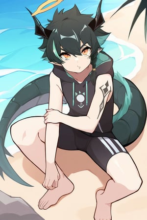 solo,male_focus, 
vup-lls,orange eyes,(streaked hair,black hair,aqua hair,side braid),(dragon horns,halo,pointy ears,dragon tail),tattoo,
black sleeveless_hoodie,jammers,barefoot,BREAK,
(beach,river),o3o,
(masterpiece, best quality:1.1),