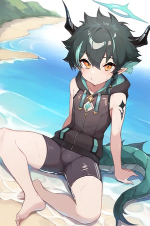 solo,male_focus, 
vup-lls,orange eyes,(streaked hair,black hair,aqua hair,side braid),(dragon horns,halo,pointy ears,dragon tail),tattoo,
black sleeveless_hoodie,jammers,barefoot,BREAK,
(beach,river),o3o,
(masterpiece, best quality:1.1),