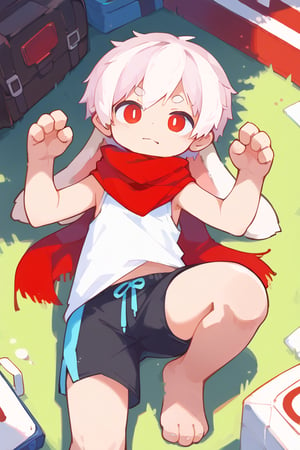 solo,male_focus,shota, 
vup-bai,white_hair,(lop_ears:1.2),red scarf,(red shirt:0.8),(black shorts:0.8),[barefoot], 
dynamic_pose,lying,on_side,paw_pose,BREAK, 
score_9,score_8_up,score_7_up,score_6_up,score_5_up