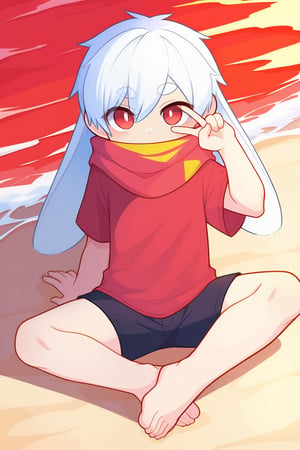 (nplose:0.5),solo,male_focus,male_child,shota, 
vup-bai,(white_hair:0.8),red eyes,(floppy_ears,lop_rabbit_ears),[scarf,red scarf,floating_scarf,scarf_over_mouth],
(red t-shirt,black shorts),(barefoot),BREAK,
[beach,red sky,sun],
[from above],looking_at_viewer,
sitting,foot_focus,v over eye,
(masterpiece, best quality:1.1),