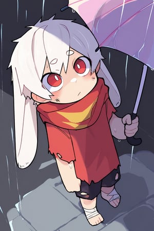 (nploser),solo,male_focus,male_child,shota, 
vup-bai,(white_hair:0.8),red eyes,(floppy_ears,lop_rabbit_ears),[scarf,red scarf,floating_scarf,scarf_over_mouth],
(red t-shirt,sleeveless:0.8),(black shorts:0.8),(torn clothes,torn shirt,torn shorts,torn scarf),(barefoot,bandage on feet),BREAK,
[rain, dark, shadow],wet,
looking up,
standing,(holding umbrella),
(masterpiece, best quality:1.1),