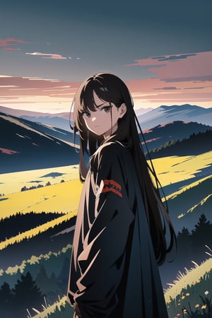 (masterpiece, best quality, high resolution: 1.3), ultra resolution image, (1 child), (only), long hair, semi-long dark brown hair, black eyes, dark gray sweatshirt, fierce, smug, confident, fantasy, landscape (meadow), collapse of civilization, ancient, r1ge, mythical, infinite sky (smoll((sky ruin)), cold hearted brown eyes, traveler
