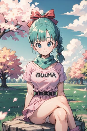 masterpiece, best quality, highres, dragon ball, blmpony, aqua hair, hair ribbon, braided ponytail, pink shirt, belt, scarf, pink skirt, clothes writing, medium breasts, outdoors, smile, open mounth, outdoors, cherry blossoms, sitting unrder tree, looking at viewer, crossed legs, upskirt, panties, blmlong,blunt bangs