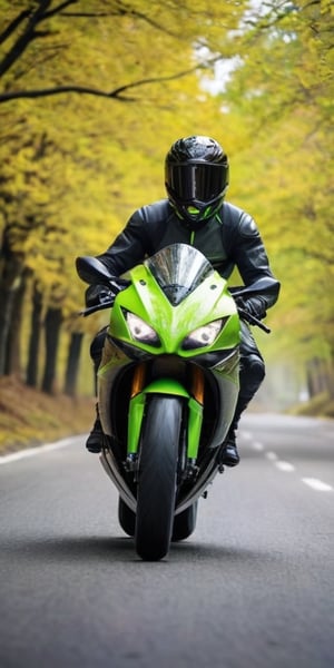 kawasaki bike on the road with a beautyful backgroud while racing 20 years man with black paaint black hoddie black and neon yellow helmate with closed helmet
background: spring season the spring season tree should be on the photo while racing the leaves should fall from the tree ,the bckground should be in the season of spring  