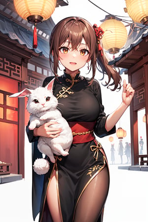 Two beautiful girls, holding a rabbit, white_skin, brown_hair, side ponytail hair, Good figure, 
Wear the light color traditional dress of the Han Chinese people, 
Background is Lantern Festival, many lantern,red light.