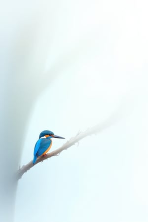 Watercolor style. A minimalistic painting of a blue Iake. In the middle is a kingfisher perched on an extended tree branch in the foreground. Reflections and shading. White background.   uhd,
hdr,24K, 40s 