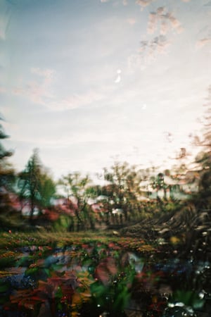 nature background, landscape, distortion, blur, meme, dreamcore, desaturation , brightness, chromatic distortion,analog photography, camera lens distortion, fantastic, daydream, liminal spaces, dreams, realistic nature, analog record